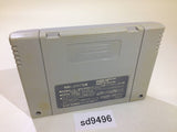 Dai Bakushou Jinsei Gekijou SNES Super Famicom Japan - SD9496