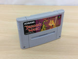 Dragon's Magic Lair BOXED SNES Super Famicom Japan - UC7889