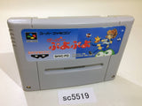 SC5519 Super Puyo Puyo SNES Super Famicom Japan
