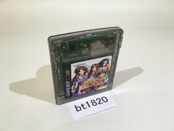 GBソフト　北米版 TAIL GATOR[復刻版](国内版本体動作可) Tail 'Gator[北米版GB](新品)しっぽでブン【復刻版】 - bit