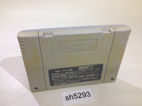 Yu Yu Hakusho 2 SNES Super Famicom Japan - SH5293