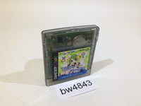 BW4843 Dejiko no Mahjong Party Di Gi Charat GameBoy Game Boy Japan
