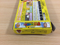 UD3409 Gakkou wo Tsukurou!! Advance BOXED GameBoy Advance Japan