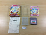 Tiny Toon Adventures 3 BOXED GameBoy Game Boy Japan - UB1478