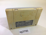 Super Puyo Puyo SNES Super Famicom Japan - SG3795