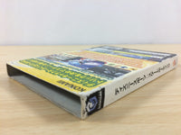 DF9460 Disney Sports Skateboarding BOXED GameCube Japan