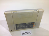 Super Puyo Puyo SNES Super Famicom Japan - SH5301