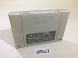 Super Puyo Puyo SNES Super Famicom Japan - SF9557