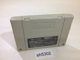 Super Puyo Puyo SNES Super Famicom Japan - SH5302