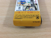 UC8499 Shin Onigashima Zenkouhen BOXED GameBoy Advance Japan