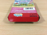 Tiny Toon Adventures 3 BOXED GameBoy Game Boy Japan - UB1478