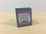 Tiny Toon Adventures 3 BOXED GameBoy Game Boy Japan - UB1478