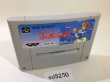 Super Puyo Puyo SNES Super Famicom Japan - SD5250