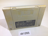 Yu Yu Hakusho SNES Super Famicom Japan - SB1265