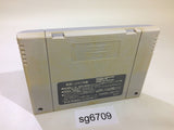 Super Puyo Puyo SNES Super Famicom Japan - SG6709
