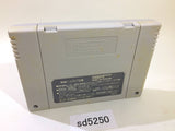Super Puyo Puyo SNES Super Famicom Japan - SD5250