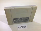 Super Puyo Puyo SNES Super Famicom Japan - SH5620