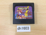 DH1603 Battletoads Sega Game Gear Japan