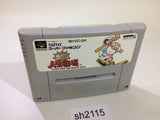Dai Bakushou Jinsei Gekijou SNES Super Famicom Japan - SH2115