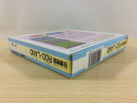 ua8990 Rod Land Yousei Monogatari BOXED NES Famicom Japan