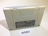 Dai Bakushou Jinsei Gekijou SNES Super Famicom Japan - SB5207