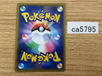 CA5795 Landorus Fighting - SM12a 069/173 Pokemon Card TCG Japan