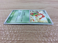 CB4129 Yanma Grass UnC PCG4 010/106 Pokemon Card TCG Japan