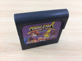 DH1603 Battletoads Sega Game Gear Japan