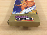 Super Oozumou Nessen Dai Ichiban Sumo BOXED SNES Super Famicom Japan - UD7451