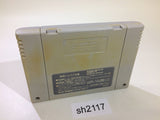 DaiBakushou Jinsei Gekijou Zukkoke SalaryMan SNES Super Famicom Japan - SH2117