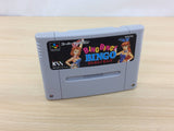 Bing Bing! Bingo BOXED SNES Super Famicom Japan - UC2165