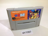 Yu Yu Hakusho SNES Super Famicom Japan - SH1087