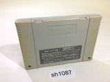 Yu Yu Hakusho SNES Super Famicom Japan - SH1087