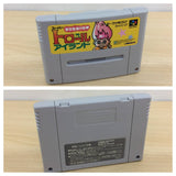 Super Troll Islands BOXED SNES Super Famicom Japan - UB5471