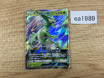 CA1989 VirizionGX Grass RR SM7a 006/060 Pokemon Card TCG Japan
