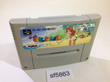 Super Gussun Oyoyo 2 SNES Super Famicom Japan - SF5863