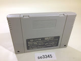 Super Pinball II 2 The Amazing Odyssey SNES Super Famicom Japan - SE3345