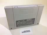 Super Puyo Puyo SNES Super Famicom Japan - SD6505