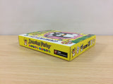 Dancing Furby BOXED GameBoy Game Boy Japan - UB2703