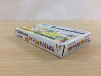 UC9595 Pukupuku Tennen Kairanban BOXED GameBoy Advance Japan