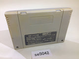 Yu Yu Hakusho 2 SNES Super Famicom Japan - SE5042
