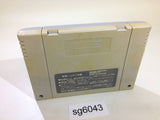 Super Puyo Puyo SNES Super Famicom Japan - SG6043