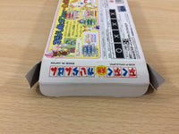 UC9595 Pukupuku Tennen Kairanban BOXED GameBoy Advance Japan