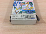 Ghost Lion White Lion Densetsu BOXED NES Famicom Japan - UC3698
