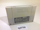 Super Puyo Puyo SNES Super Famicom Japan - SG9766