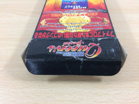 ub7419 Super Fire Pro Wrestling Queen's Special BOXED SNES Super Famicom Japan