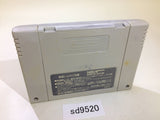Nakajima Satoru Kanshuu F1 Hero 94 SNES Super Famicom Japan - SD9520