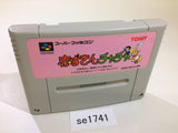 Akazukin Cha Cha SNES Super Famicom Japan - SE1741