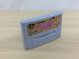 ud7055 Shinseiki Odysselya BOXED SNES Super Famicom Japan