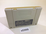 Pikiinya! Pikinya! SNES Super Famicom Japan - SF2668